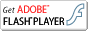 Flash Player�_�E�����\�h